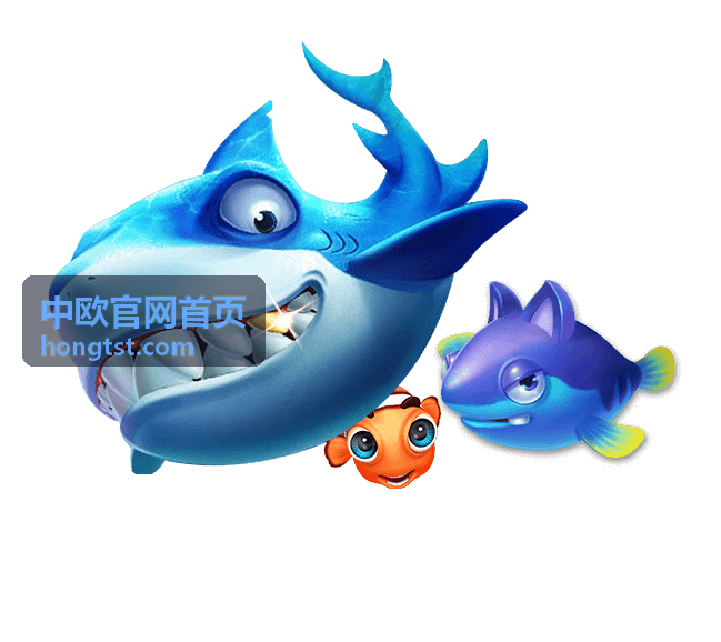 中欧官网首页文章封面图 | 跨境合作与市场动态