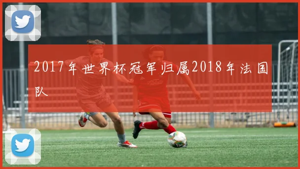2017年世界杯冠军归属2018年法国队