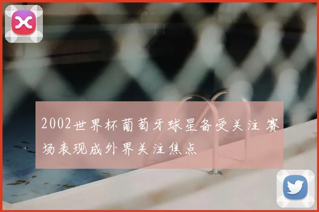 2002世界杯葡萄牙球星备受关注 赛场表现成外界关注焦点